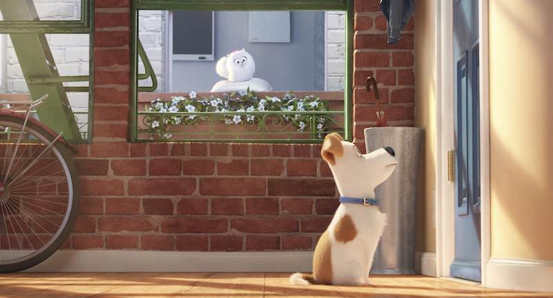 The Secret Life Of Pets