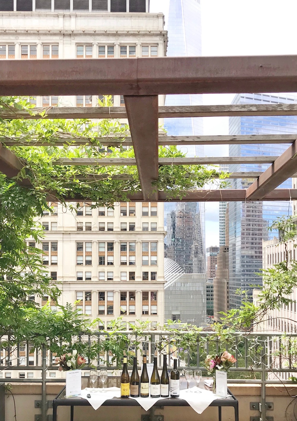 Vinho Verde Monção and Melgaço lunch wine bottles with skyline 2 Vinho Verde Monção and Melgaço lunch wine bottles with skyline 2