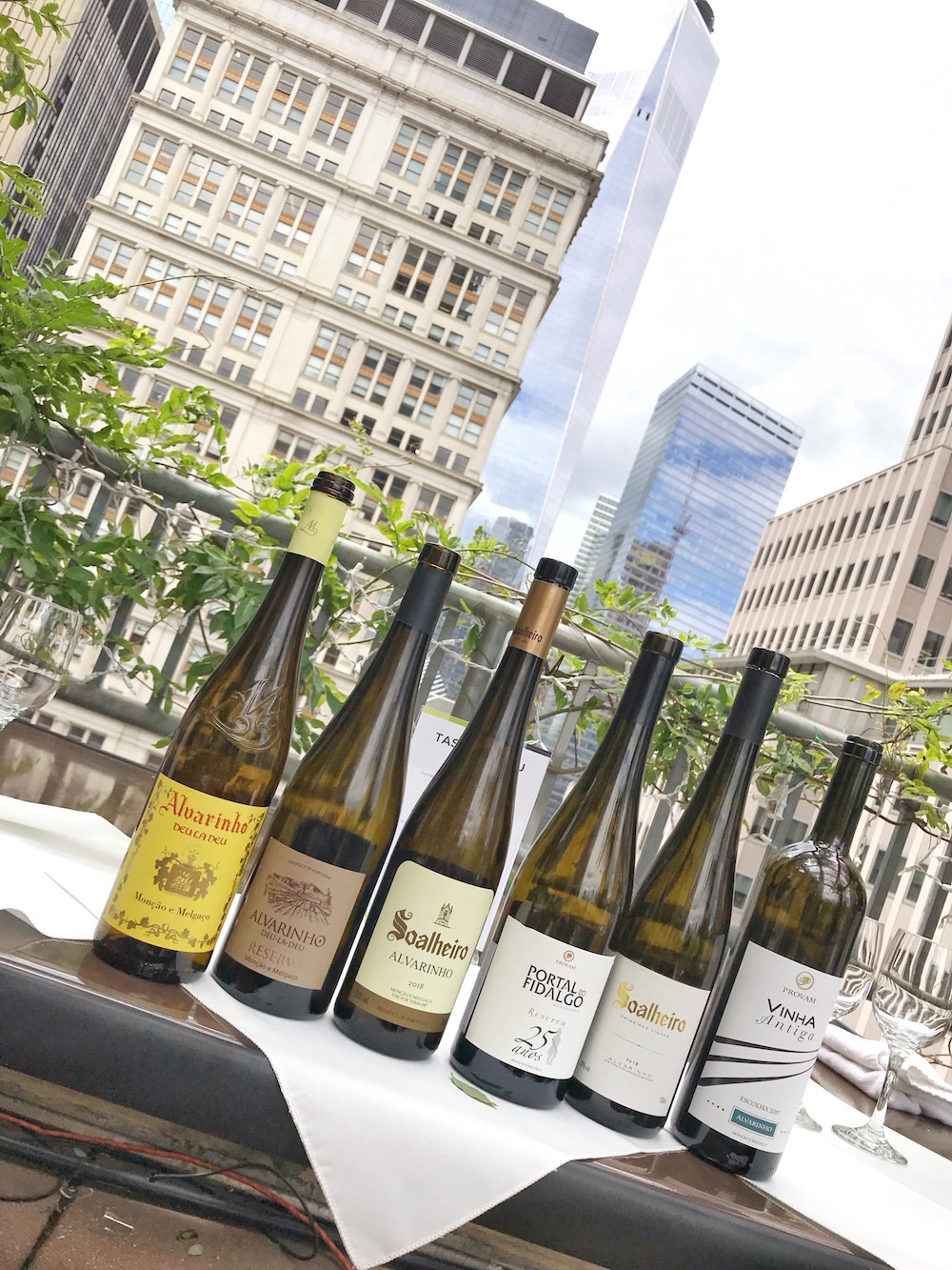 Vinho Verde Monção and Melgaço wine bottles Vinho Verde Monção and Melgaço wine bottles