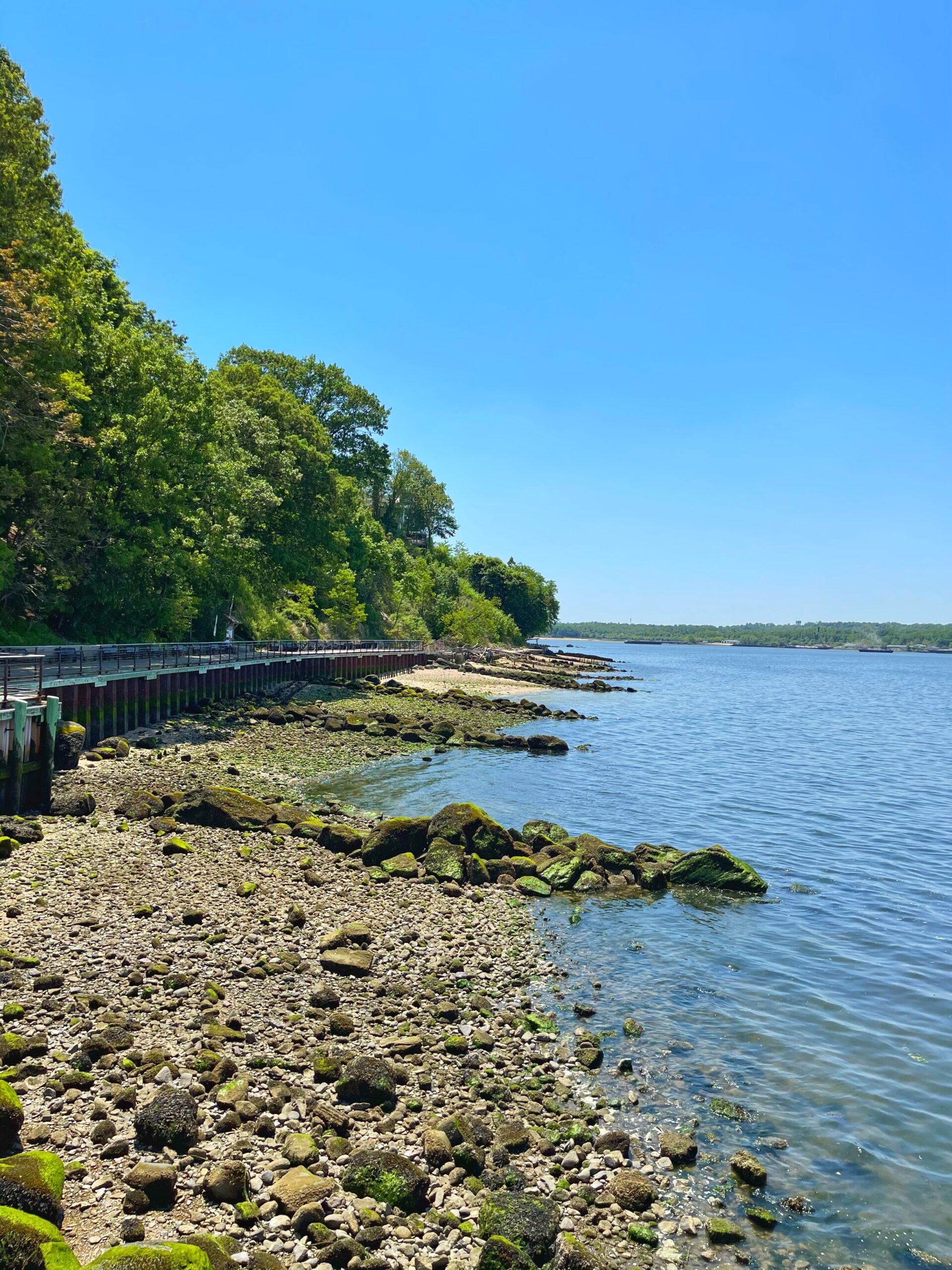 Long Island Stroll Sea Cliff Waterfront Guy and the Blog